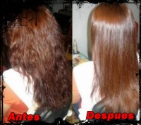 /album/fotogaleria-inicio1/dinero-inmediato-negocio-facil-muy-rentable-brushing-progresivo-2de2c0bf-2-jpg/